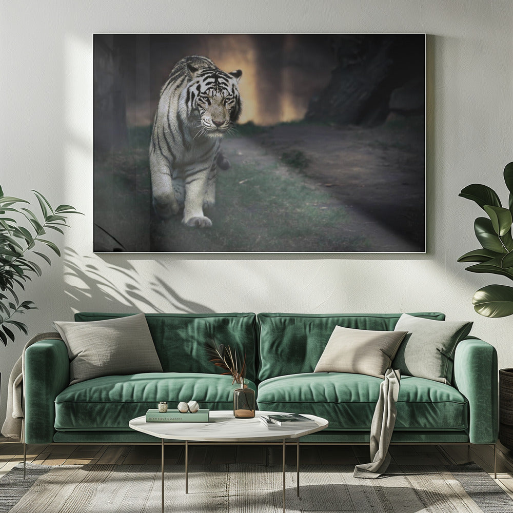 Witte wandelaar | Canvas