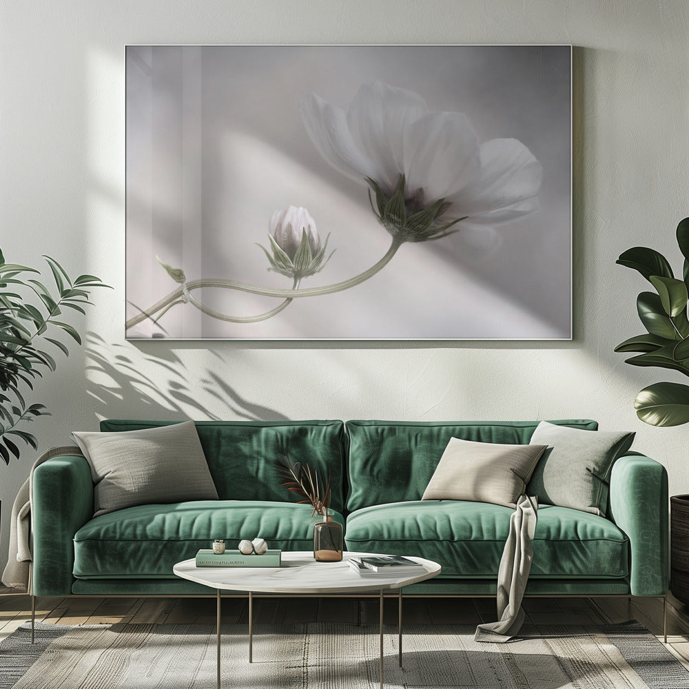 Gewoon Kosmos | Canvas
