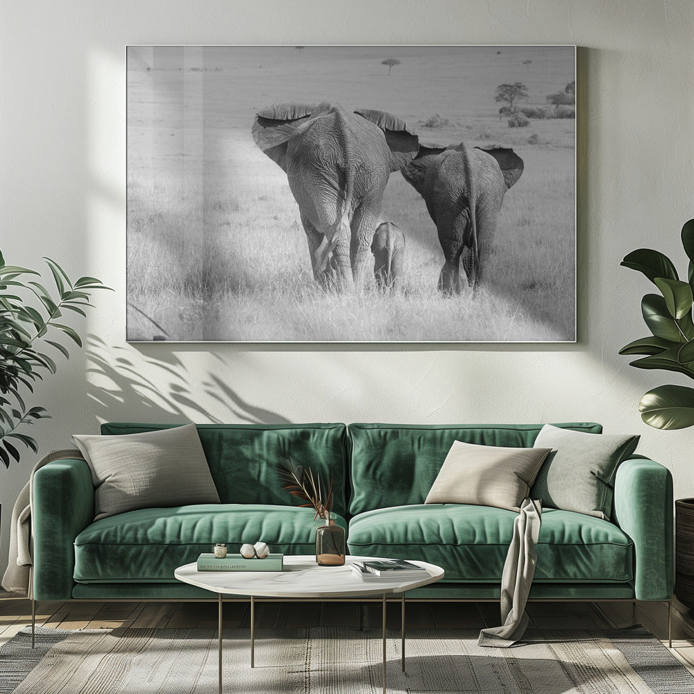 Drie billen! | Canvas