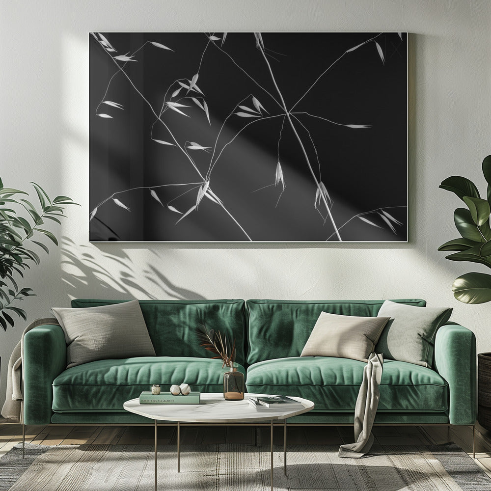 Gekruiste lijnen | Canvas
