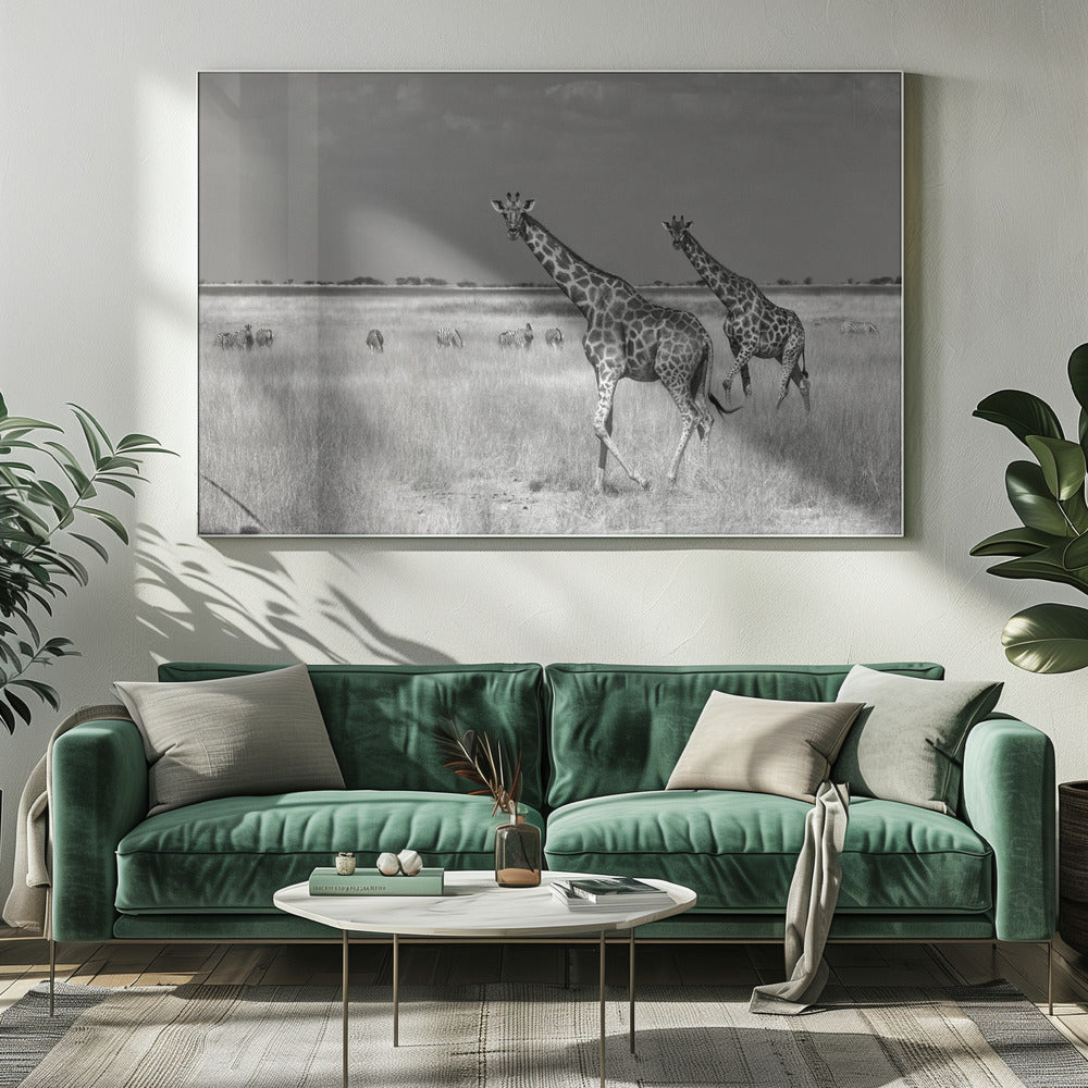 Toeristen besteden | Canvas
