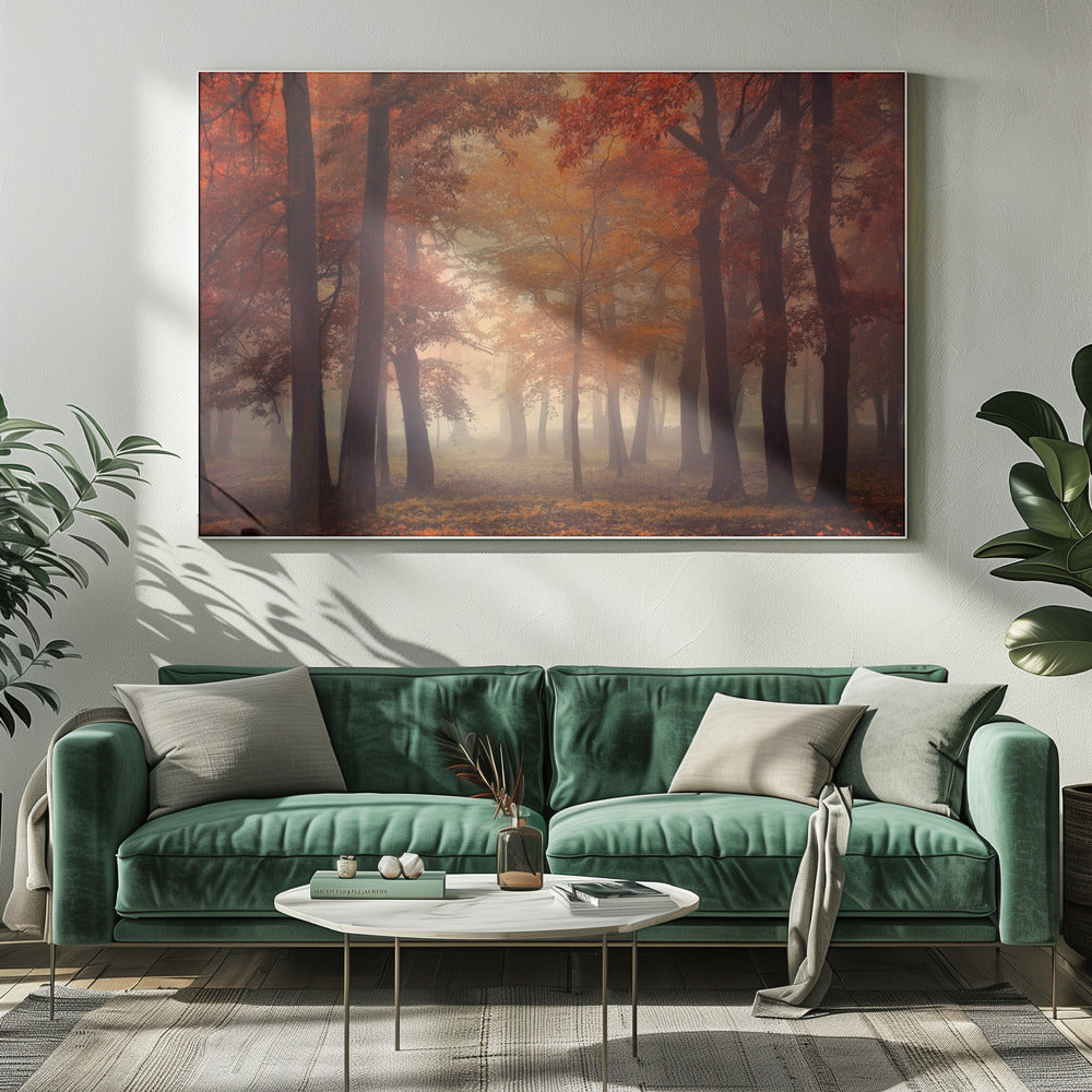 Voel | Canvas