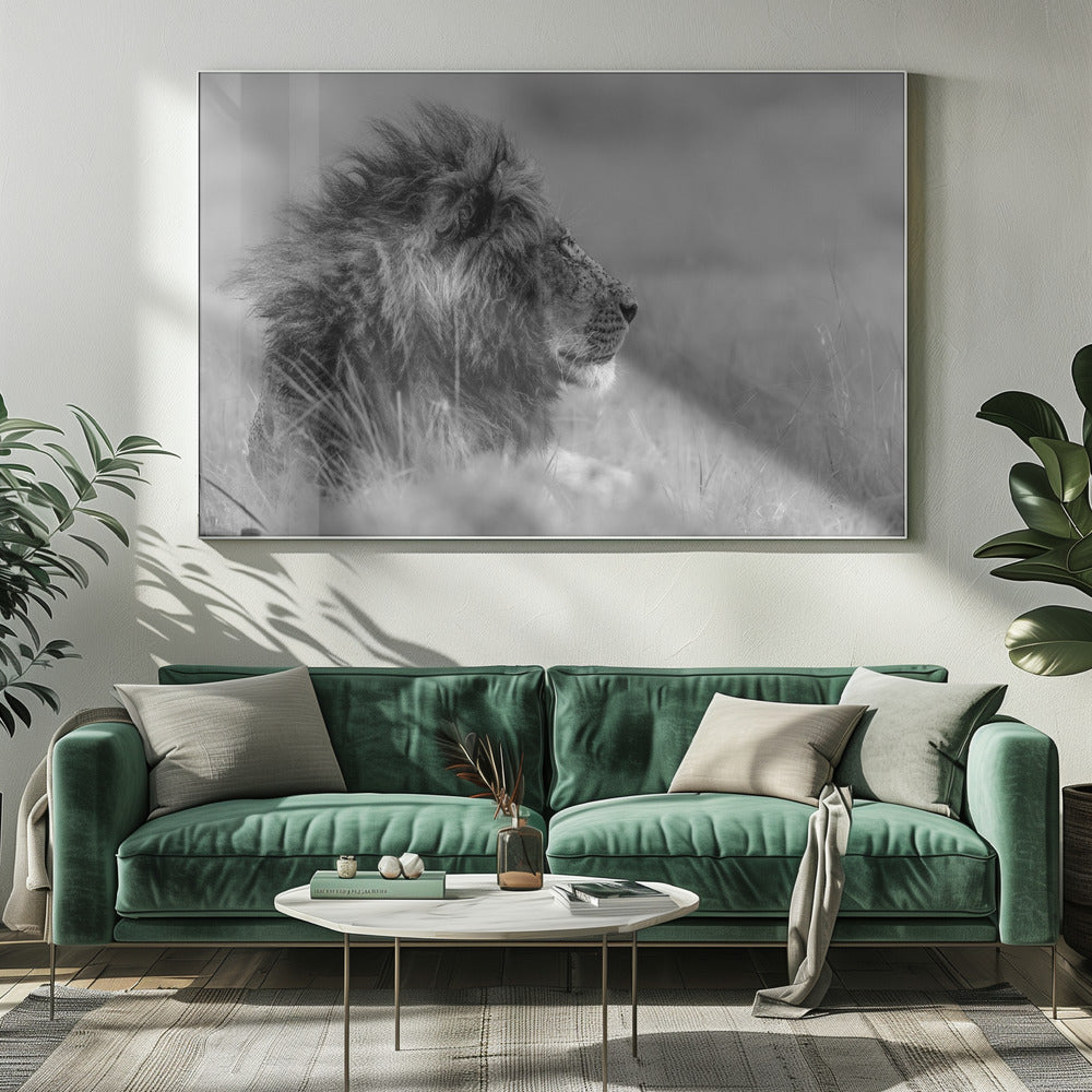 De koning is alleen | Canvas