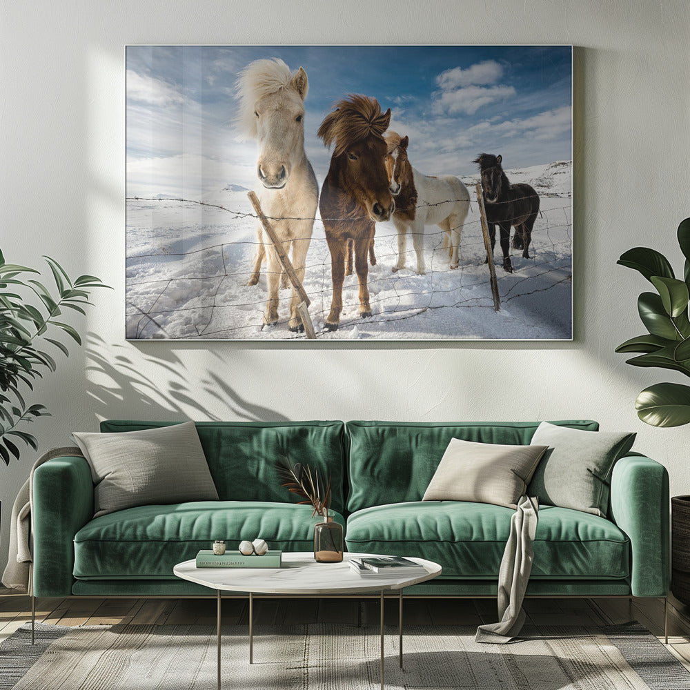 IJslands kapsel | Canvas