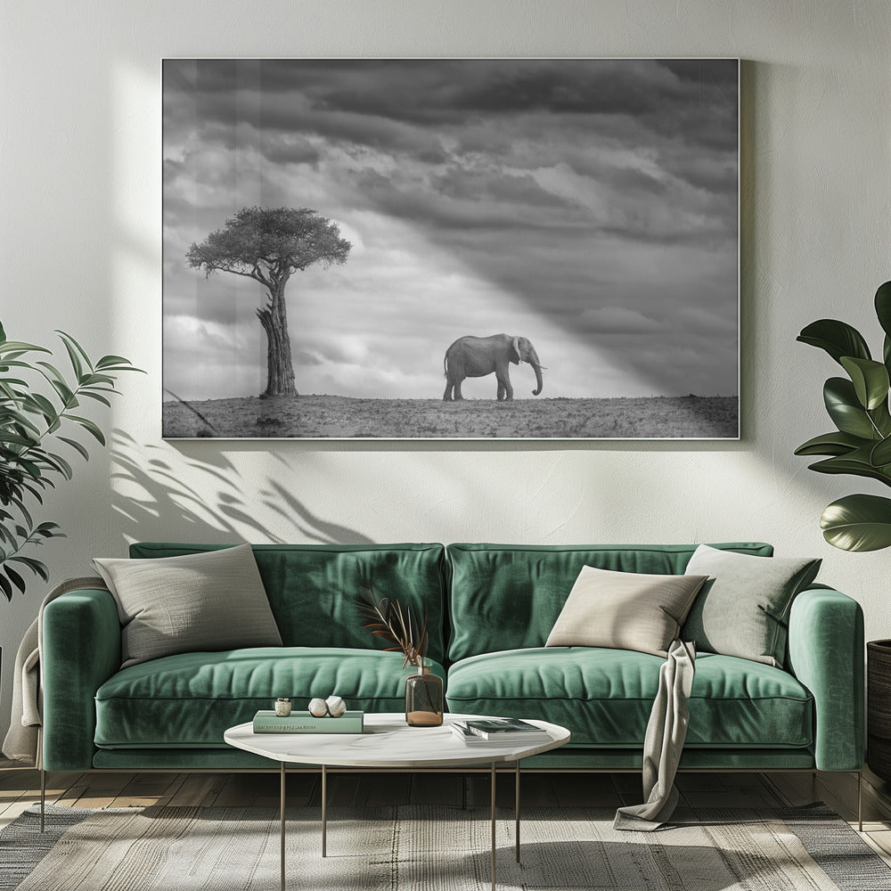 Olifantenlandschap | Canvas