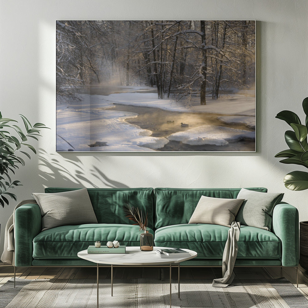 Het eerste licht | Canvas