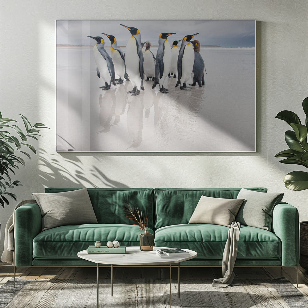 Lijfwacht | Canvas
