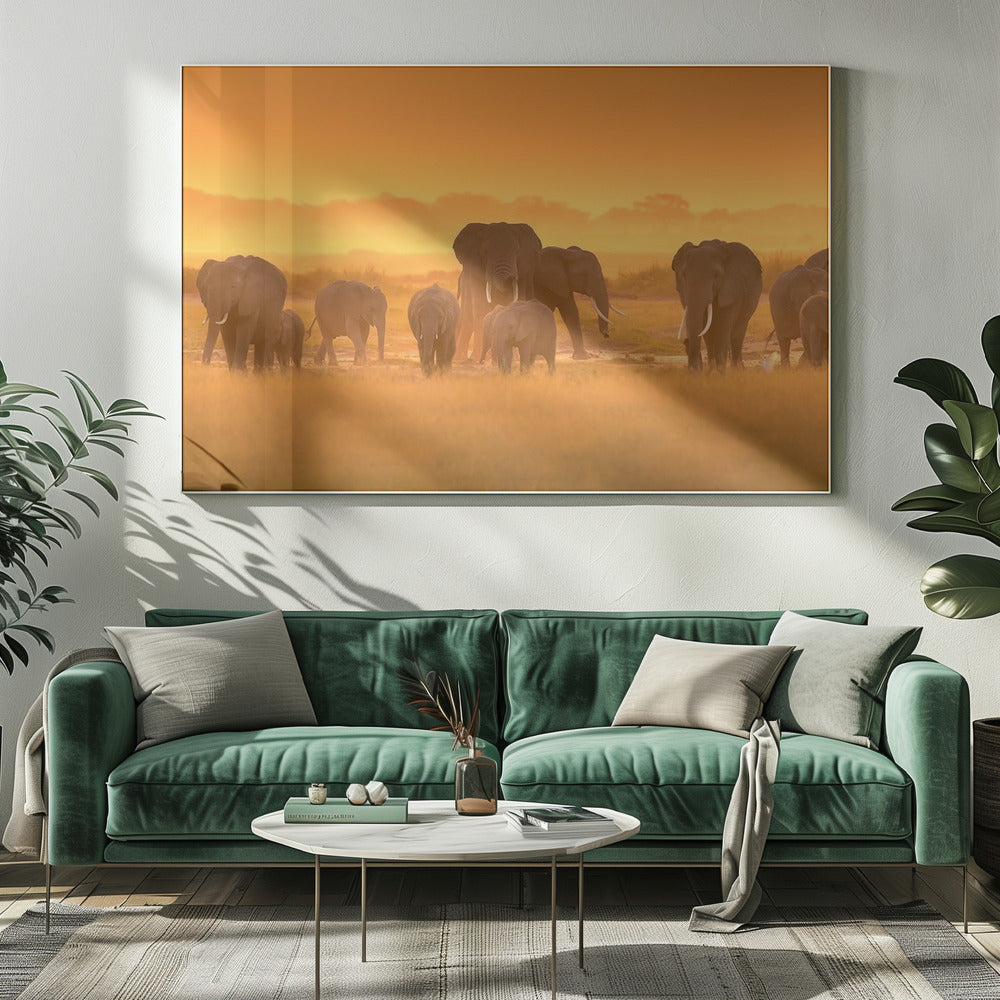 Gouden Licht | Canvas