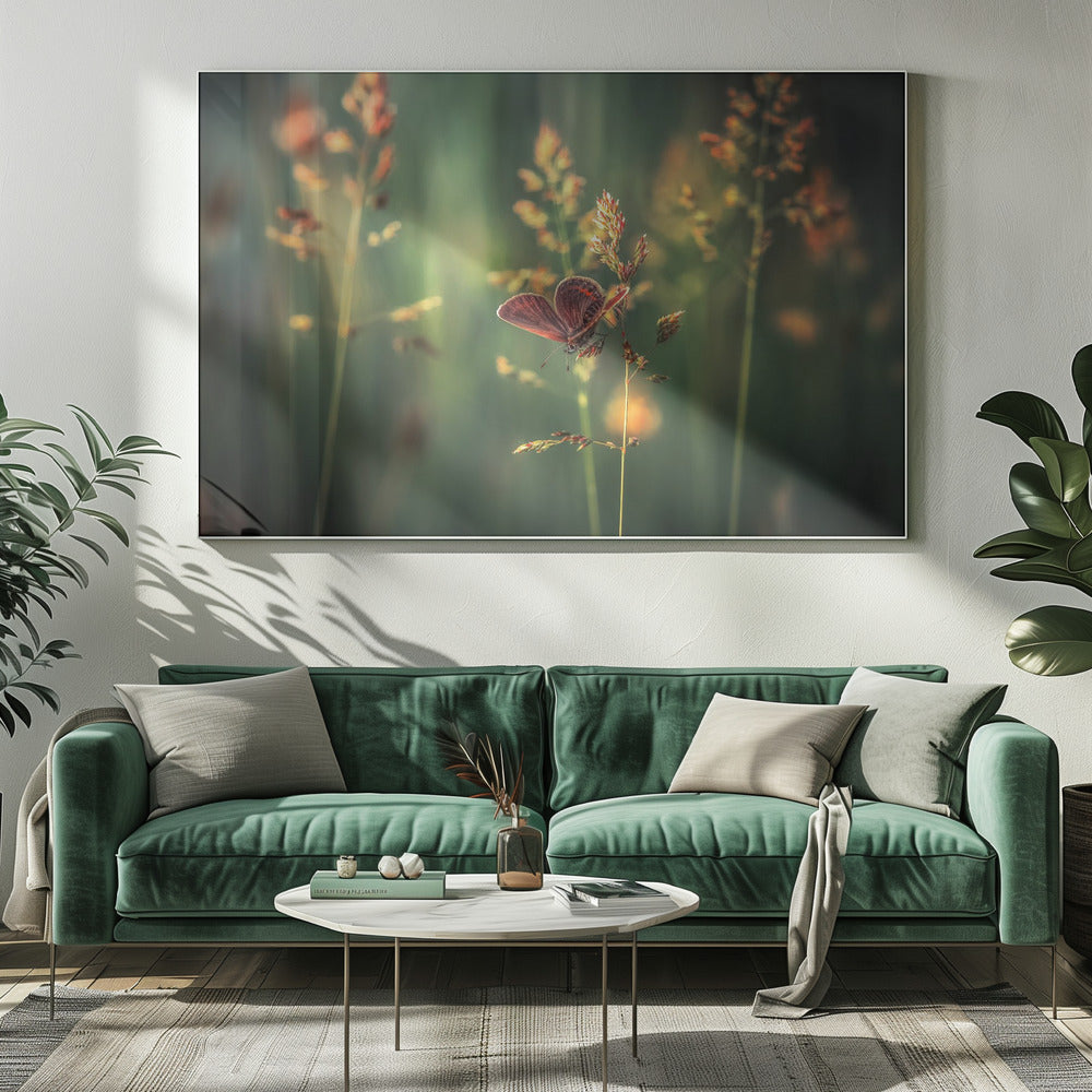 Last Light | Canvas