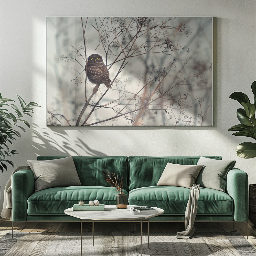 Kijk naar mij! | Canvas
