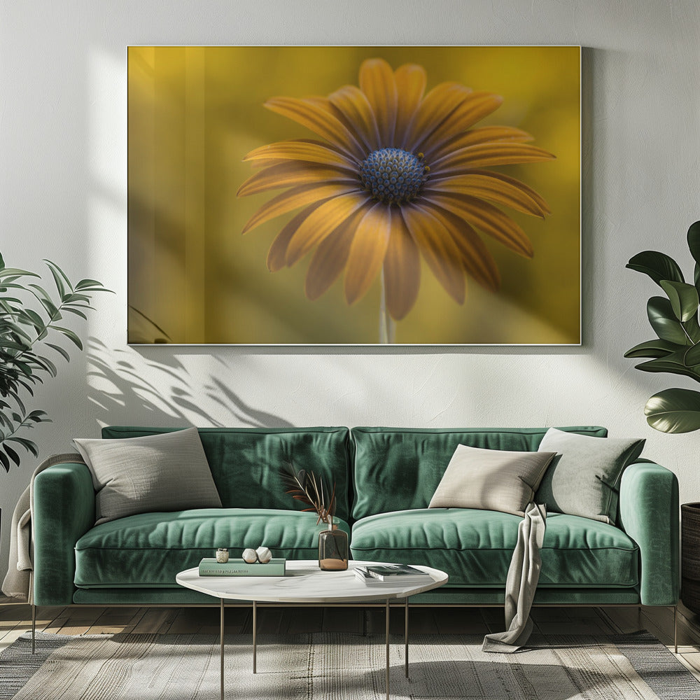 Zonnebloem Madeliefje | Canvas