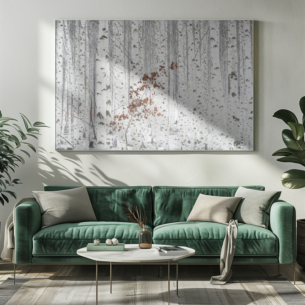 Van Wit | Canvas