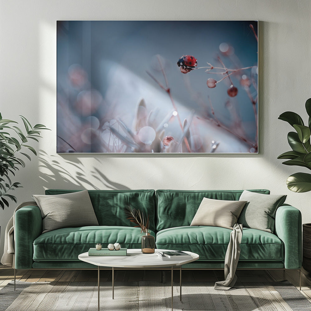 Hoogduiken | Canvas