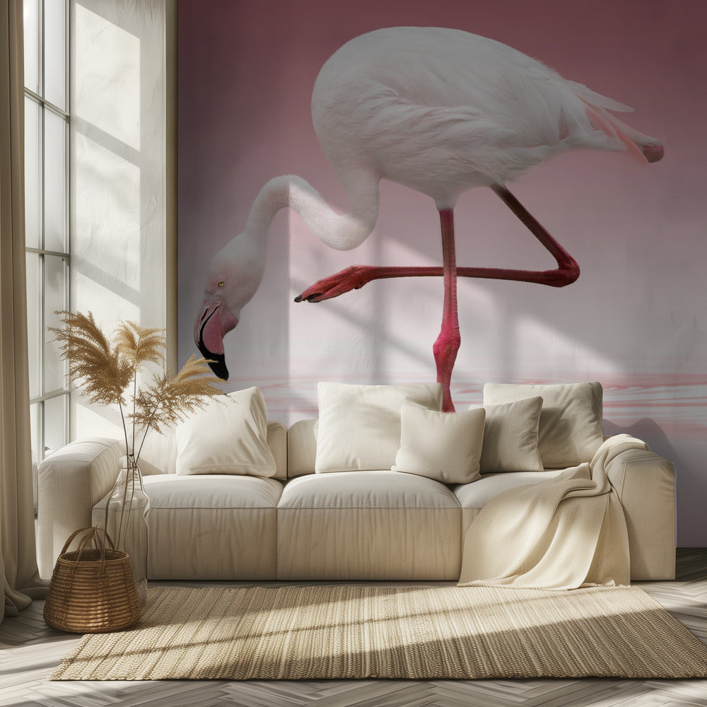 Flamingo | Behang