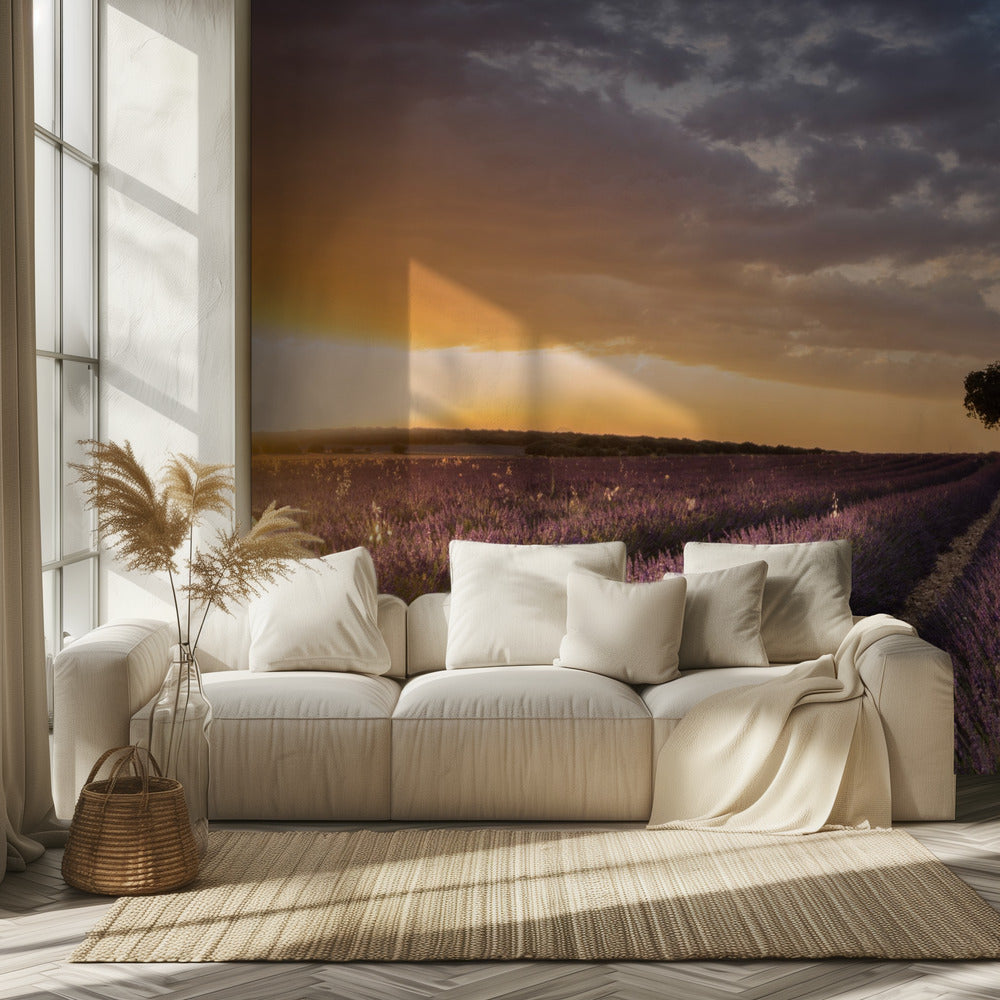 DESTINATION LAVENDEL | Behang