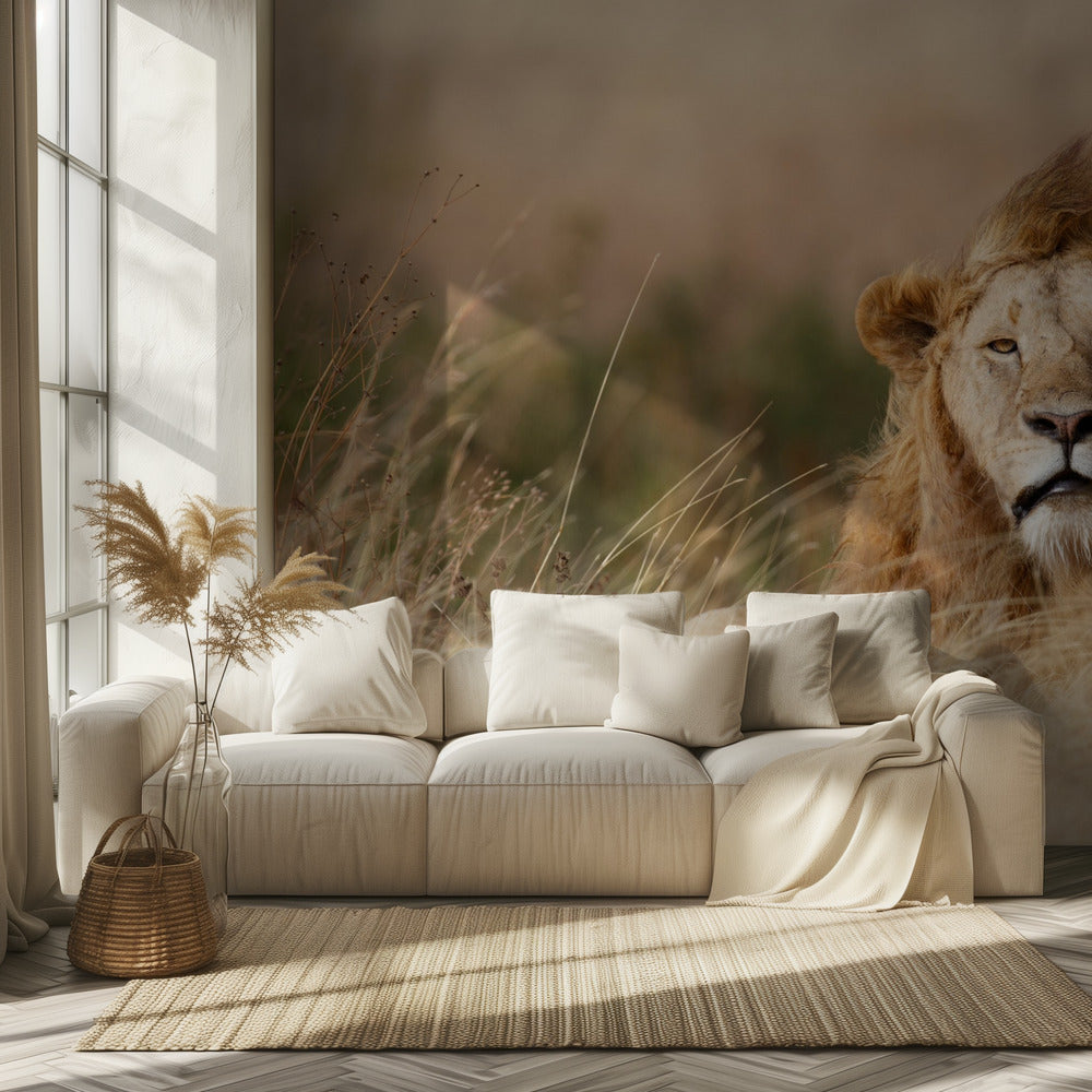 Knap! | Behang