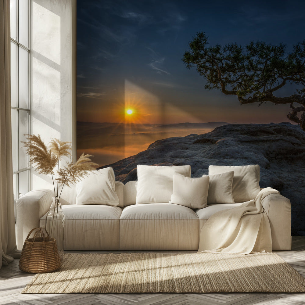 Oud grenen | Behang
