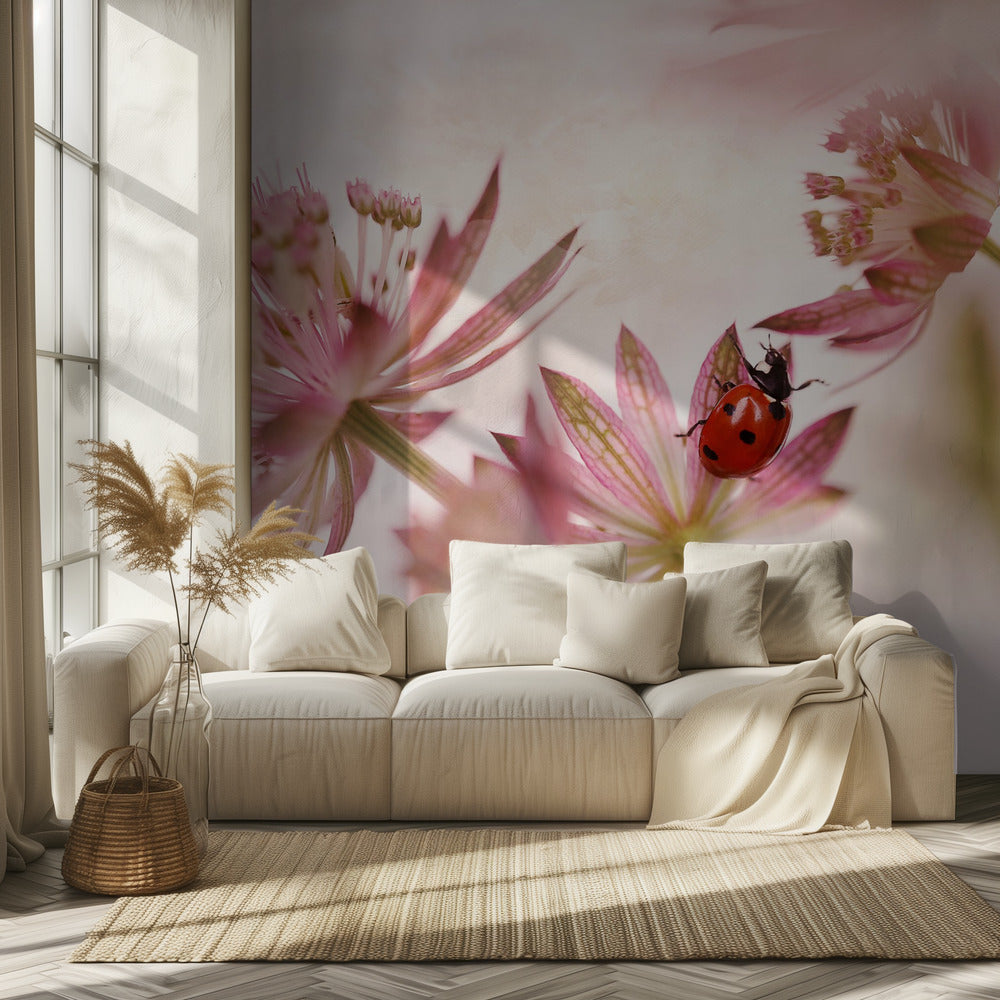 Lieveheersbeestje en roze bloemen | Behang