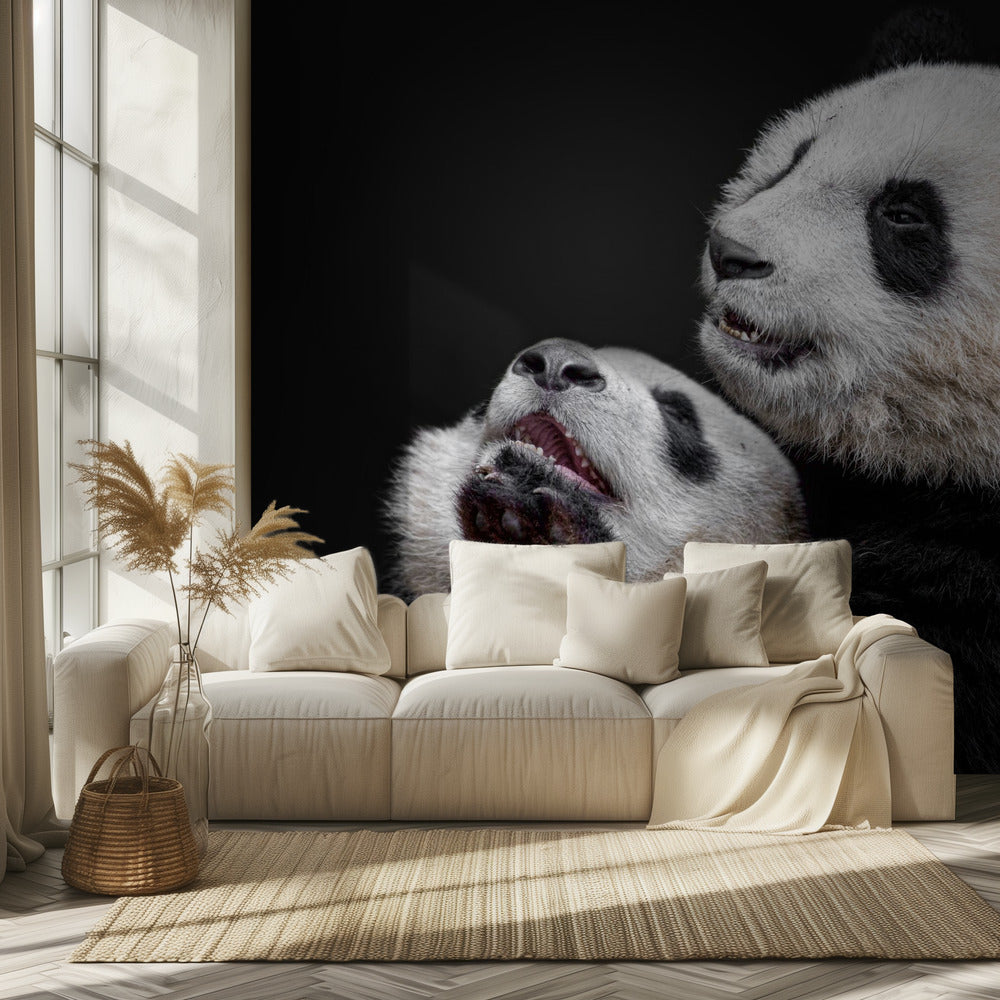 Panda's | Behang