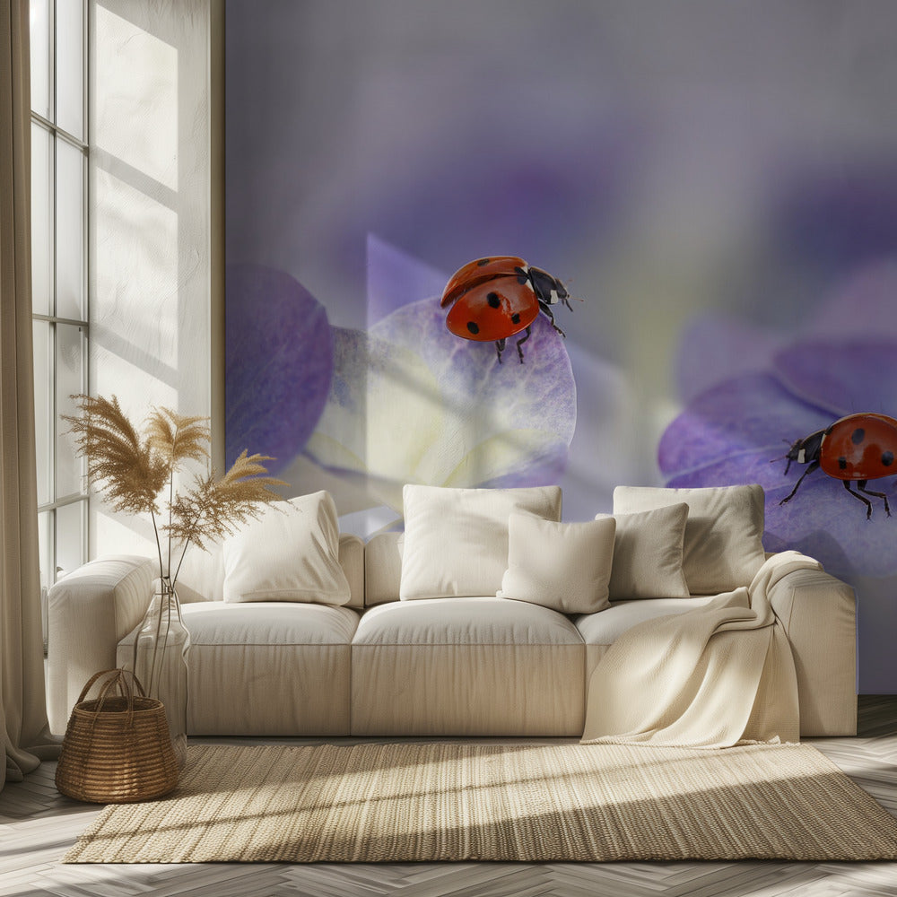 Rood en paars | Behang