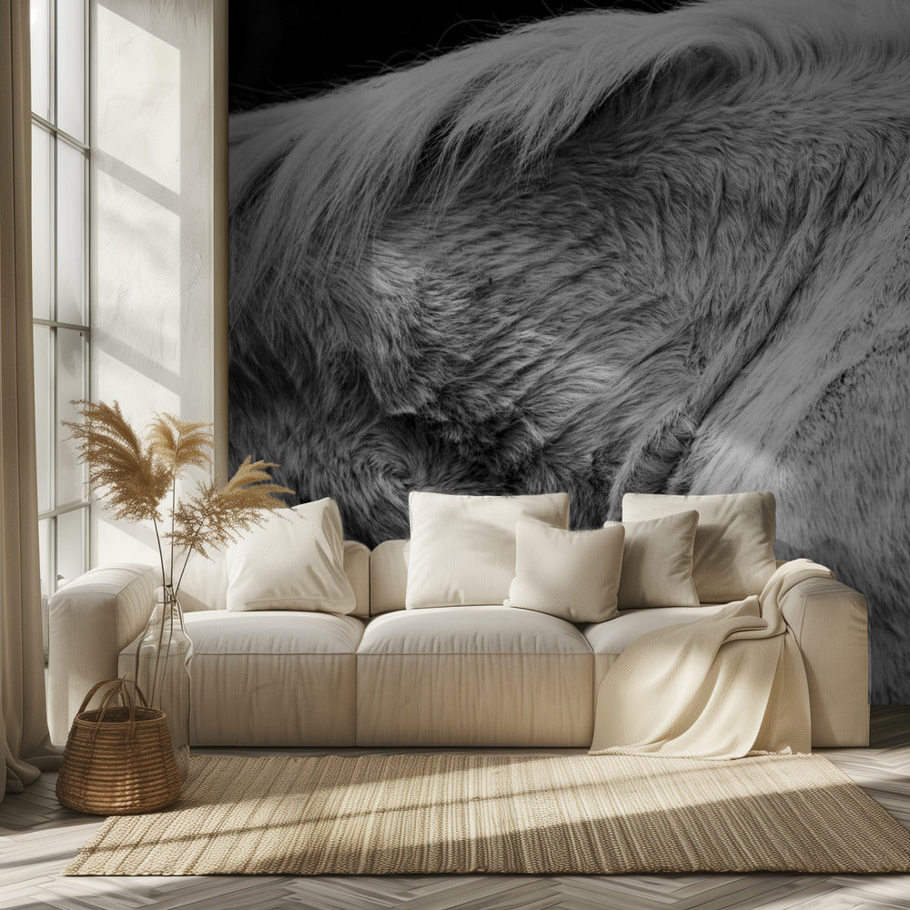 Paard II | Achtergrond