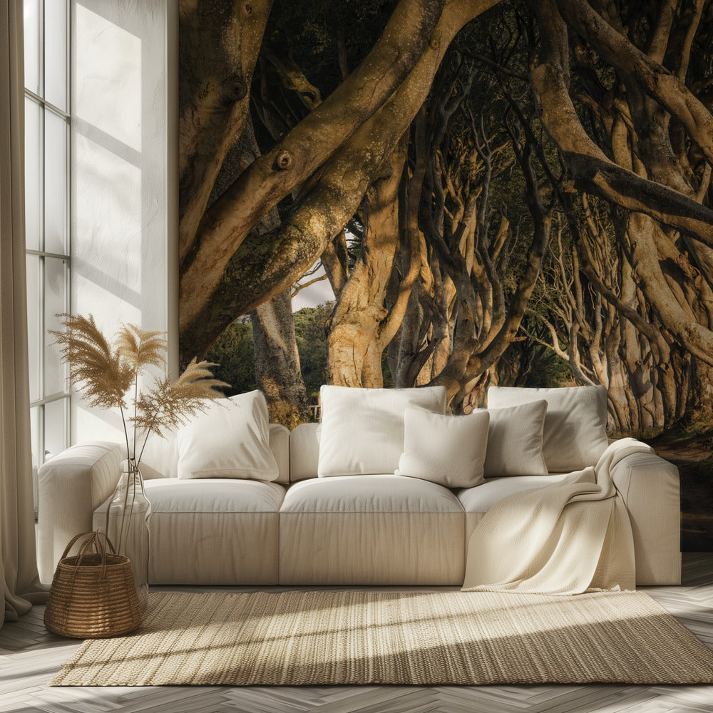 The Avenue | Behang