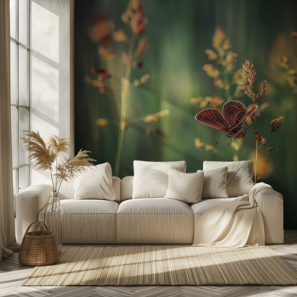 Laatste Licht | Behang