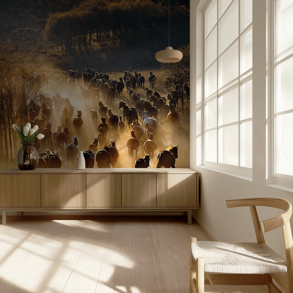 Paarden | Behang