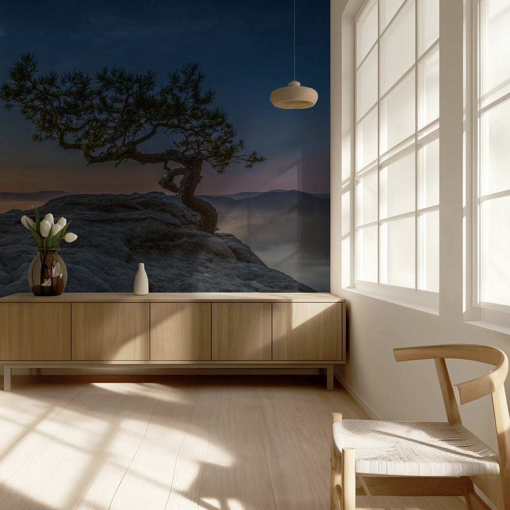 Oud grenen | Behang