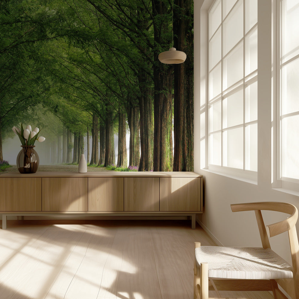 Metasequoia Road | Achtergrond