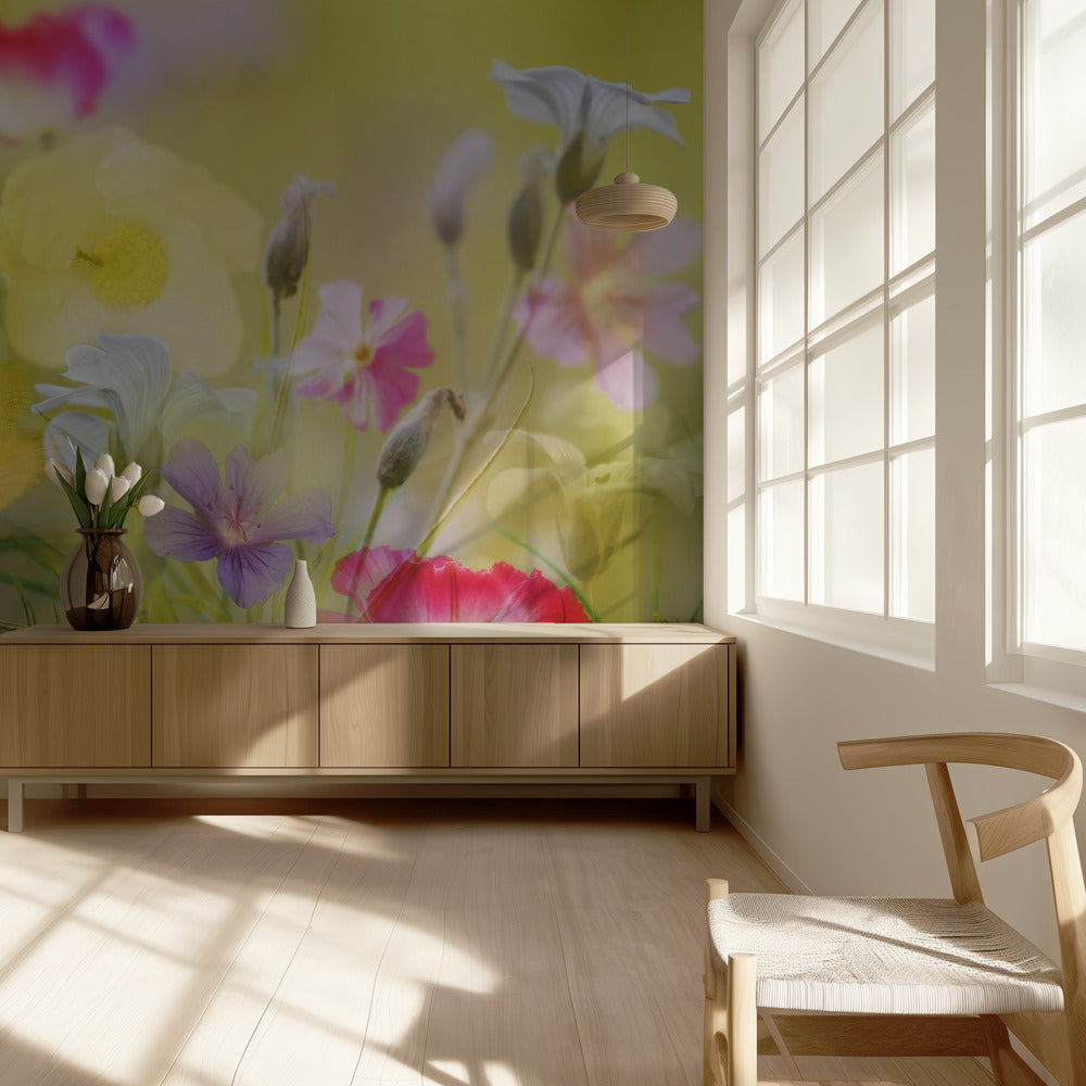 Kleine tuin in een zomerveld | Behang