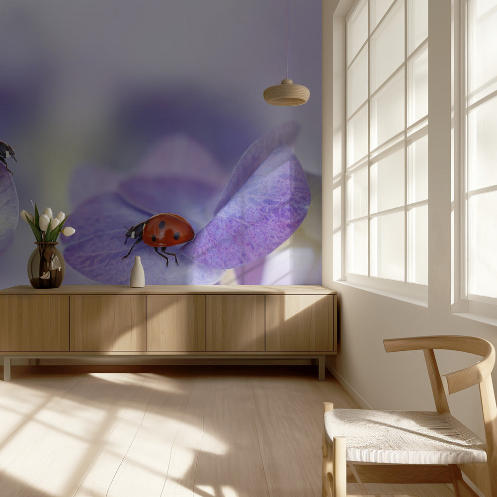 Rood en paars | Behang