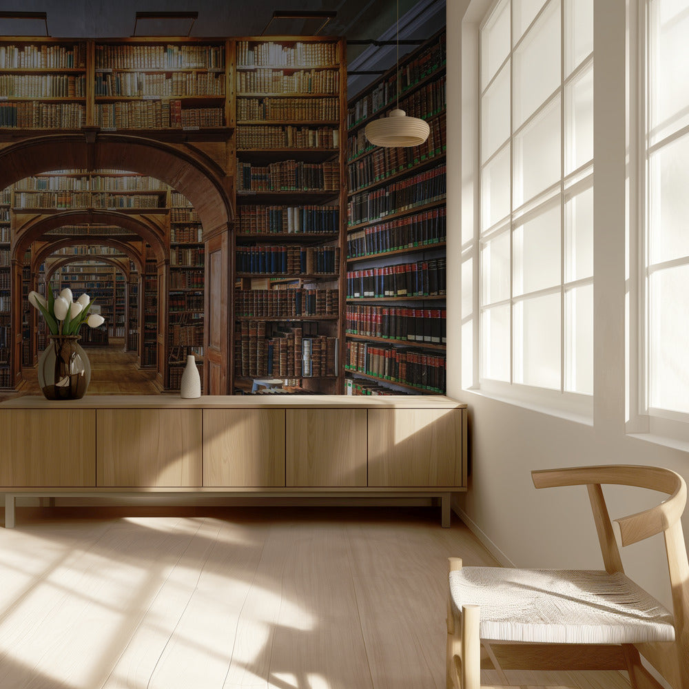 Boven-Lausitziaanse Bibliotheek voor Wetenschappen | Achtergrond