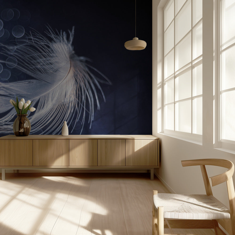 Placidity | Wallpaper