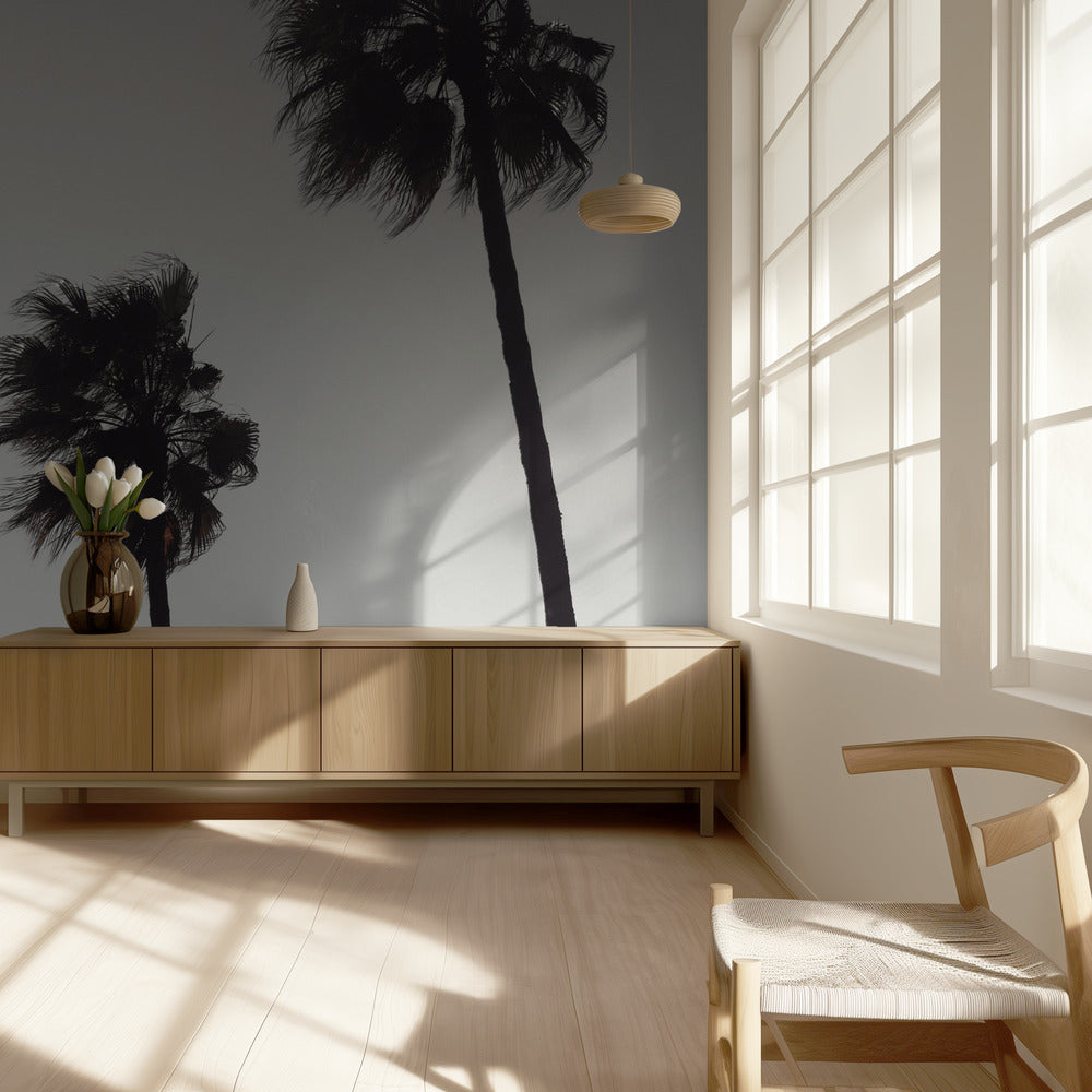 Palm_004 | Achtergrond