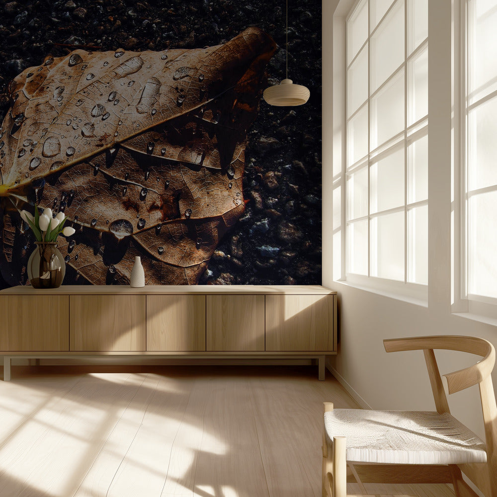 Blad | Behang