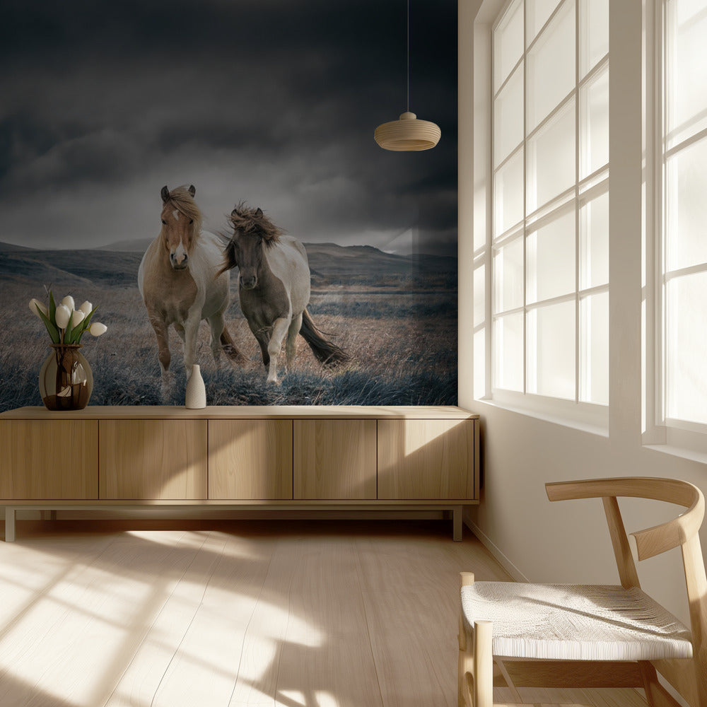 De broers | Behang