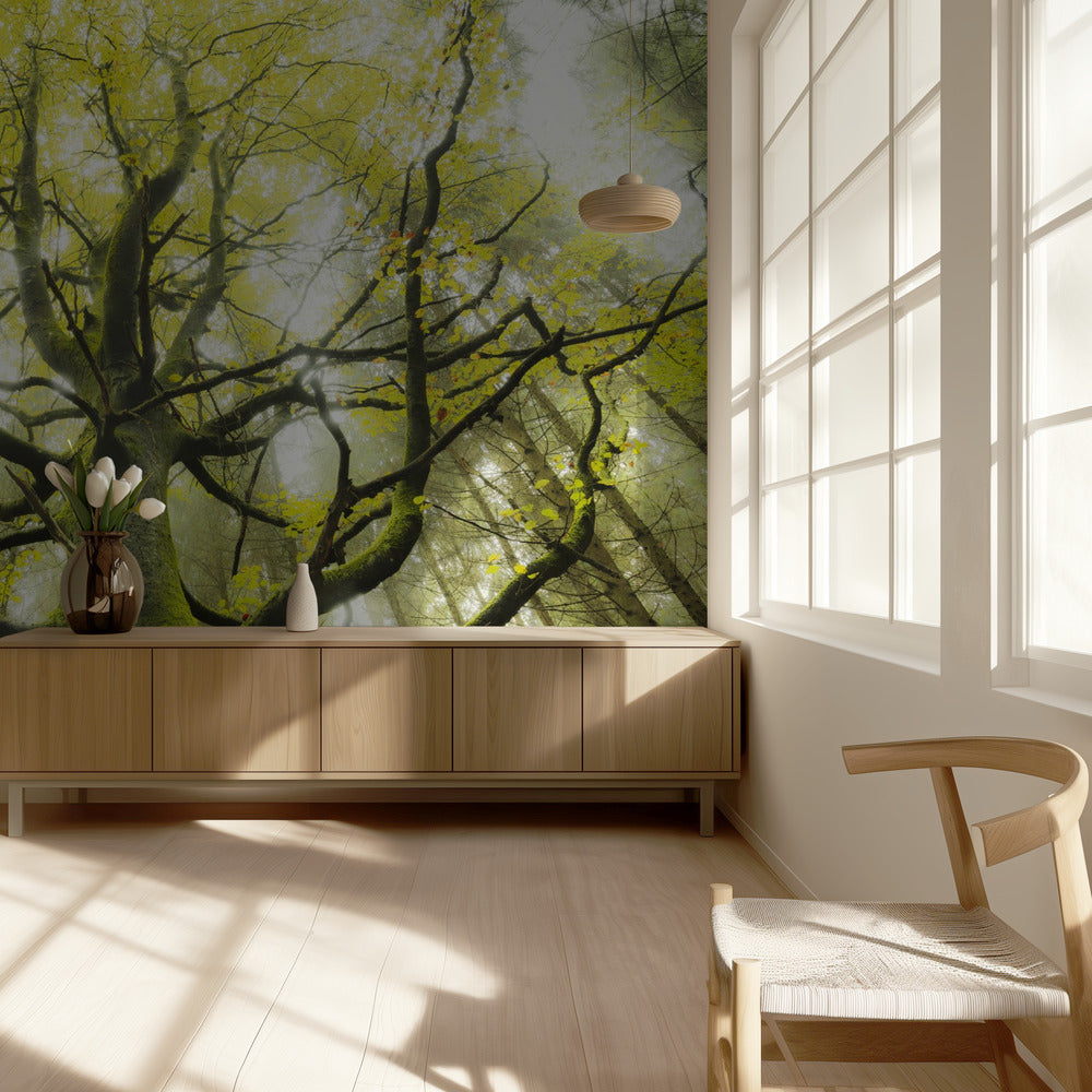 De Droomboom | Behang