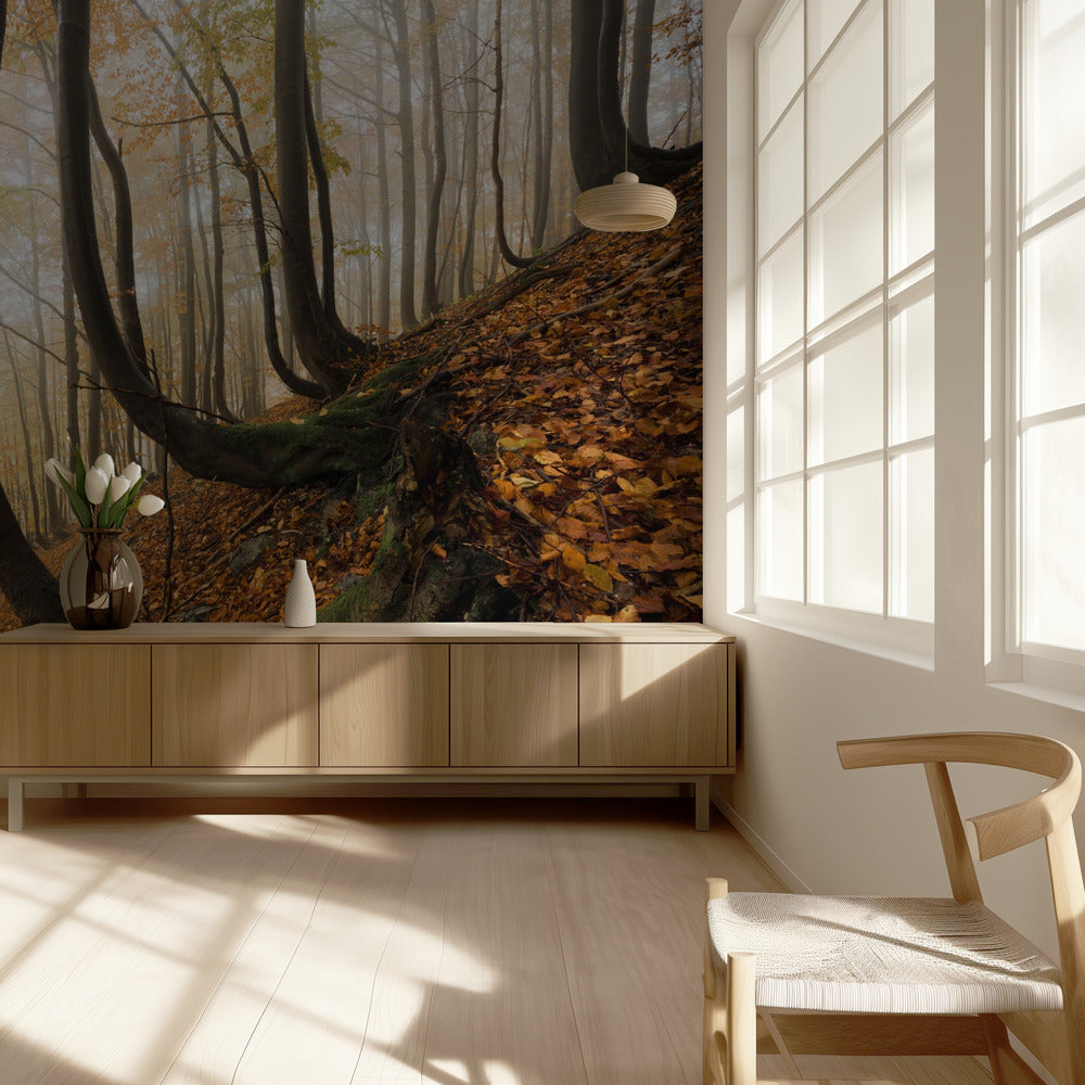 Mystiek herfstbos | Behang
