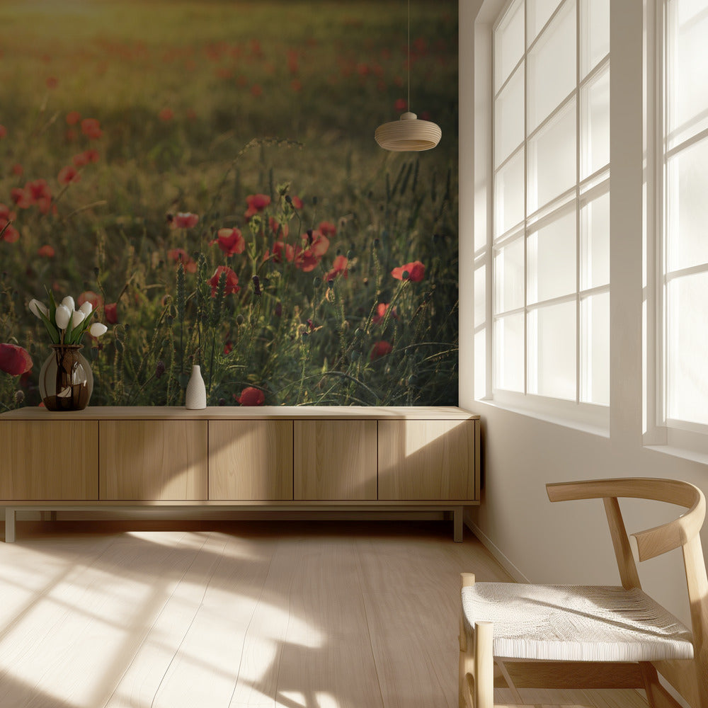 Poppy World III | Achtergrond