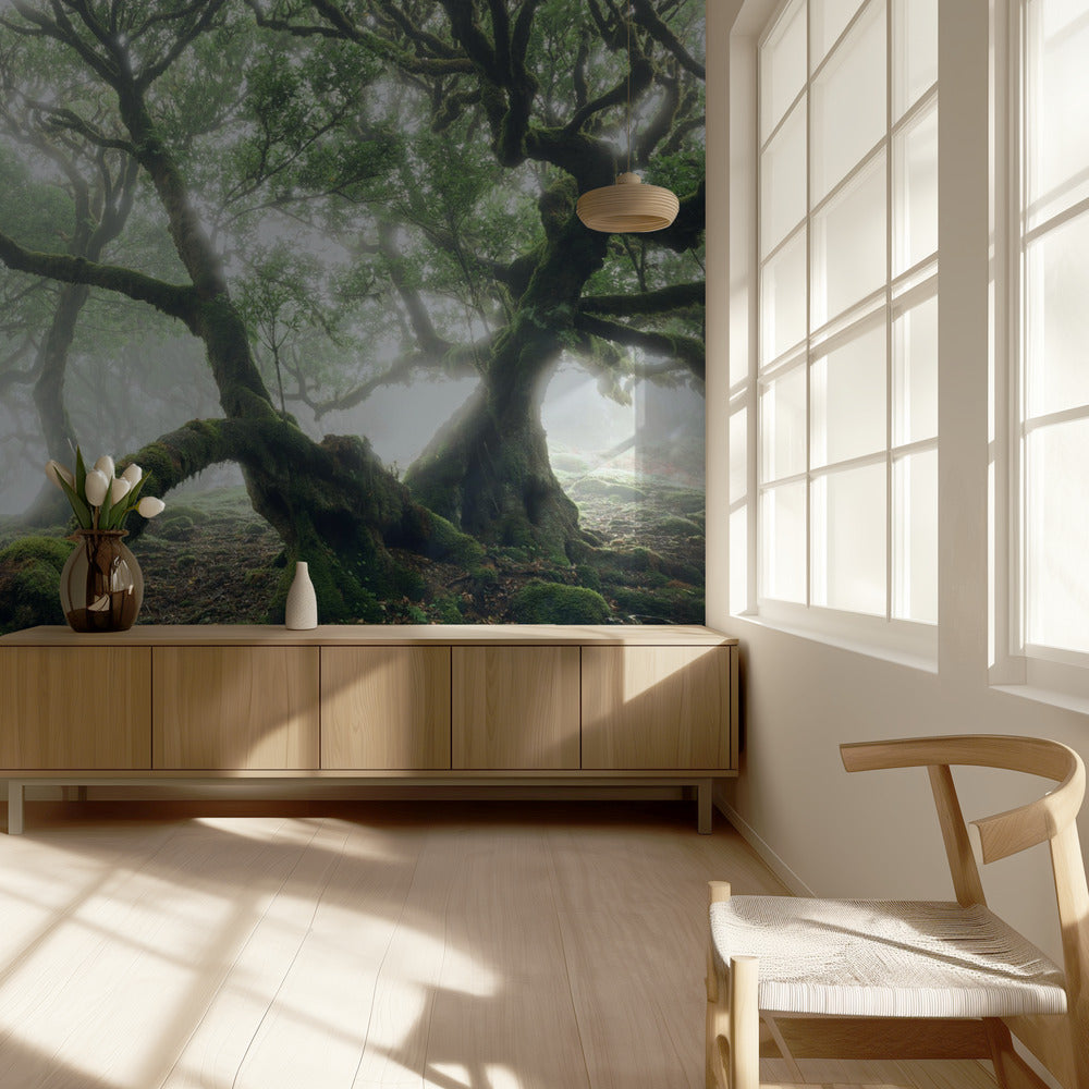 Mystiek Laurierbos | Achtergrond