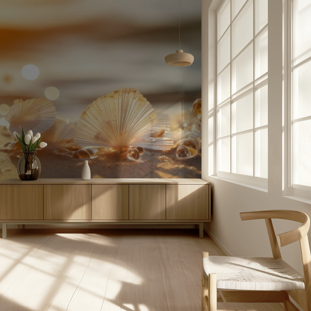 Zonovergoten schelpen | Behang