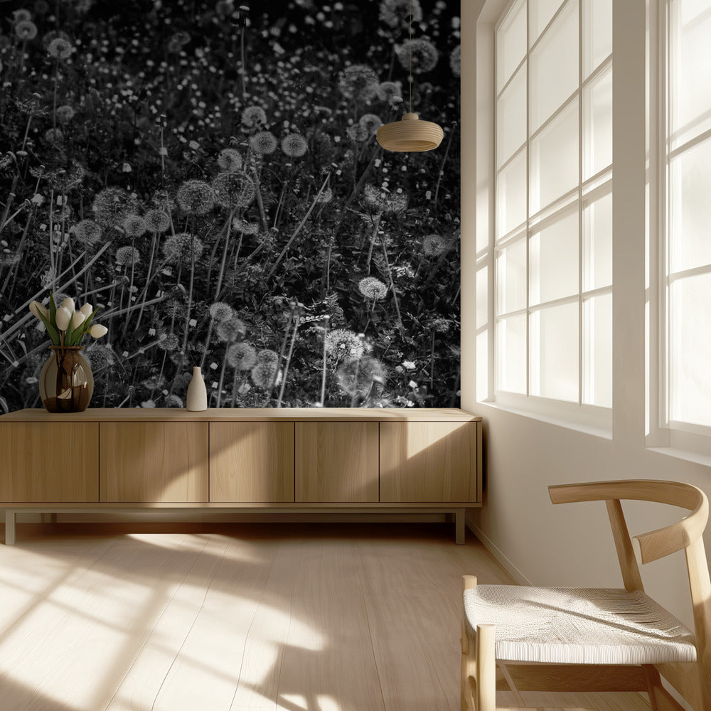 Het paardenbloemenveld | Behang