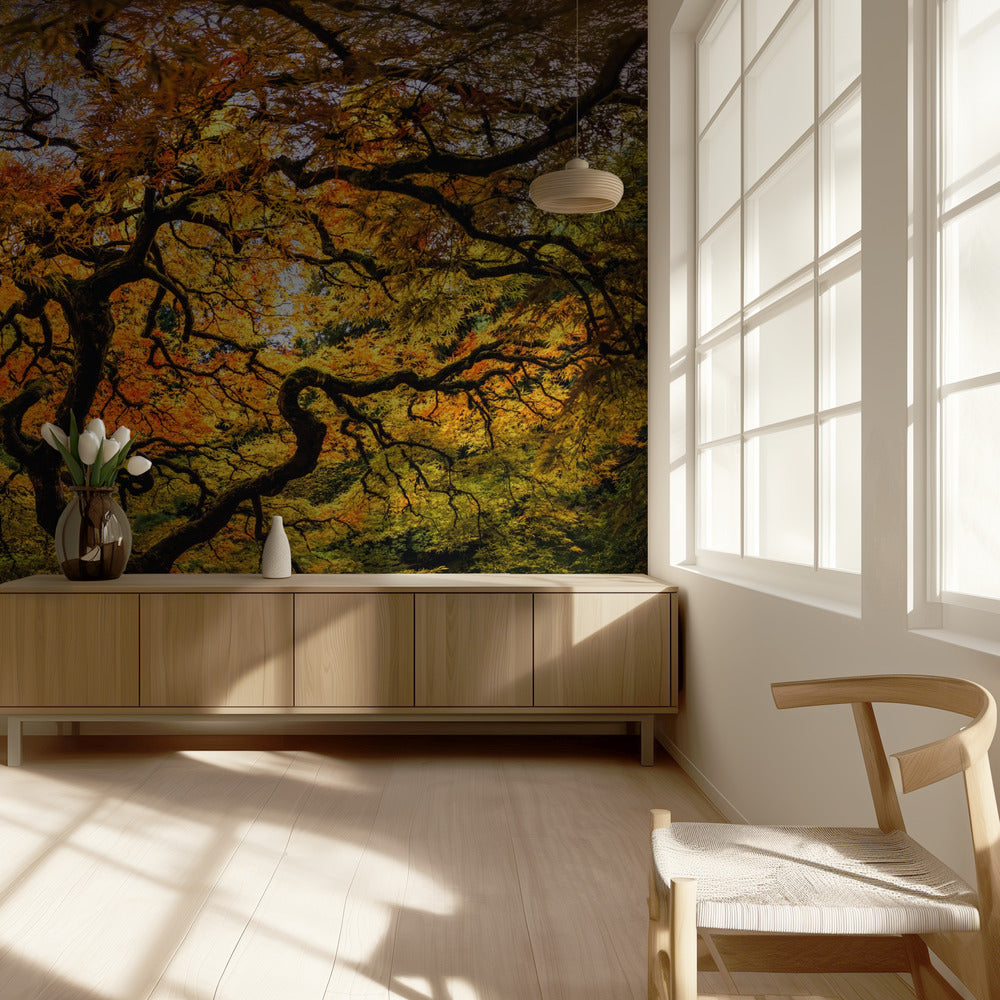 De esdoorn | Behang