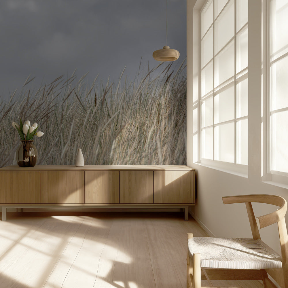Duinen en wolken | Behang