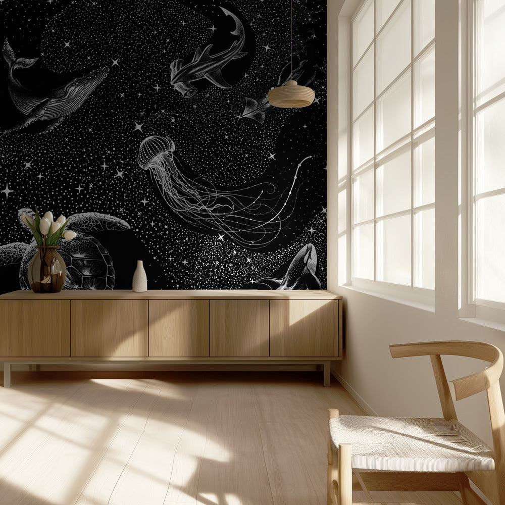 Kosmische Oceaan (zwarte versie) | Achtergrond