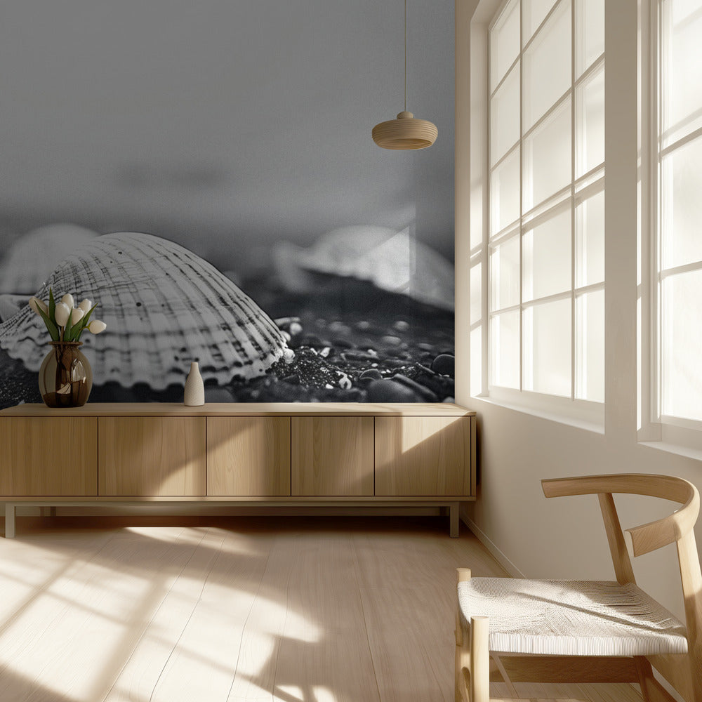 Seashell Serenity | Behang