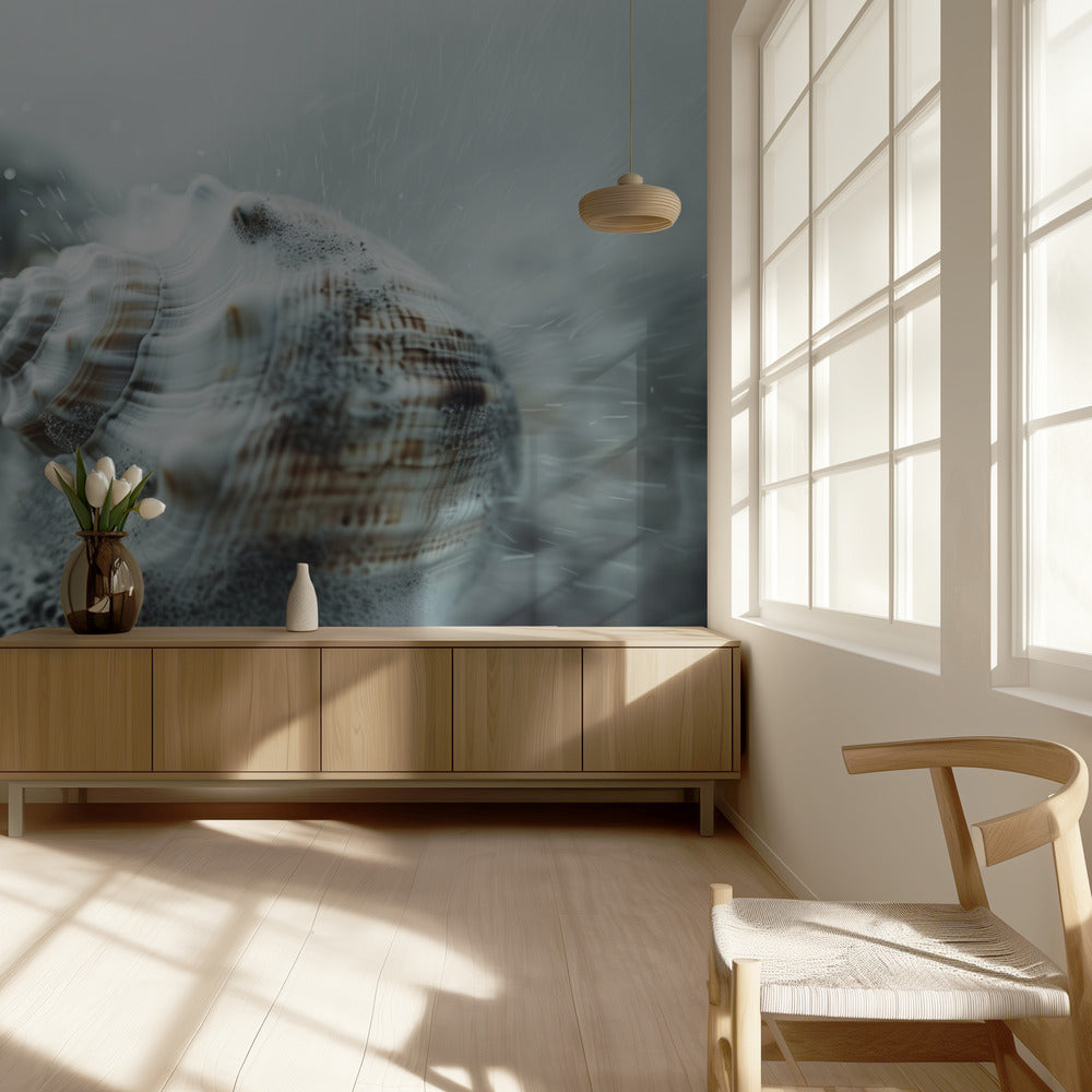 Schelpen in oceaanmist | Behang