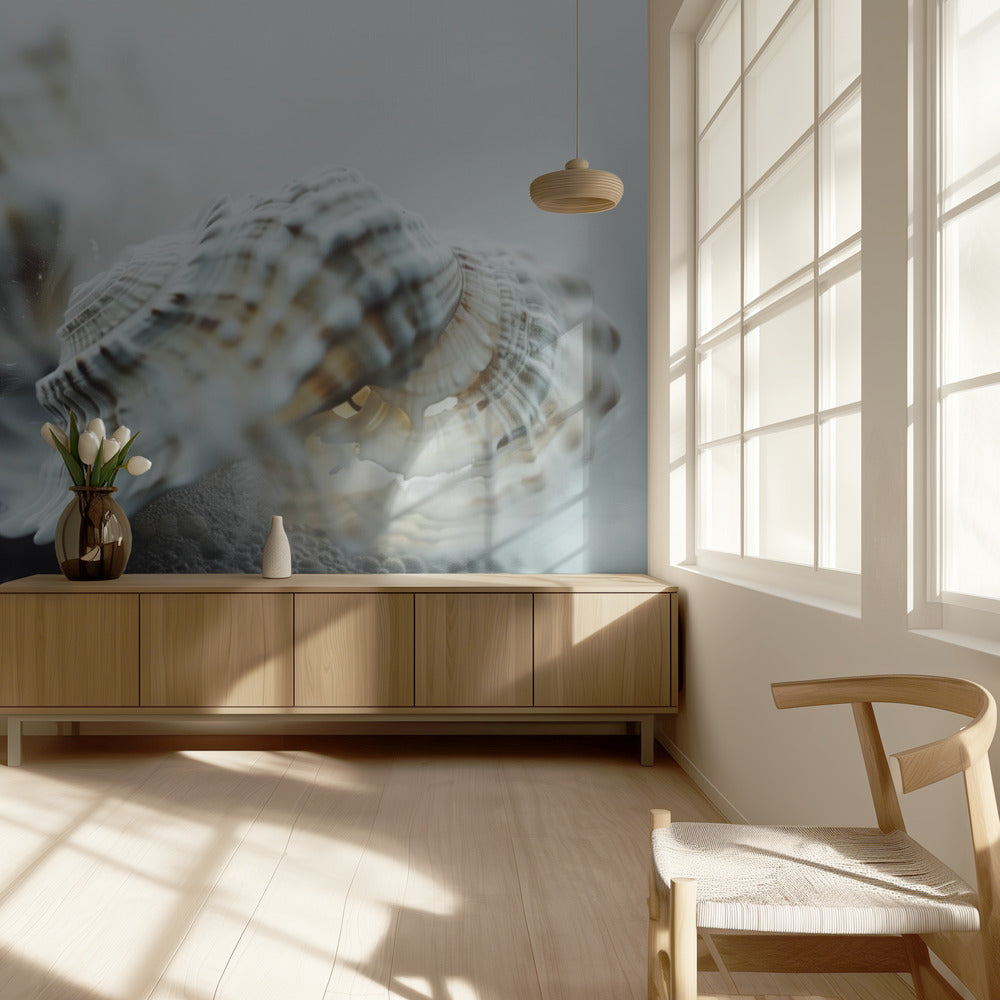 Seashell Serenity | Wallpaper