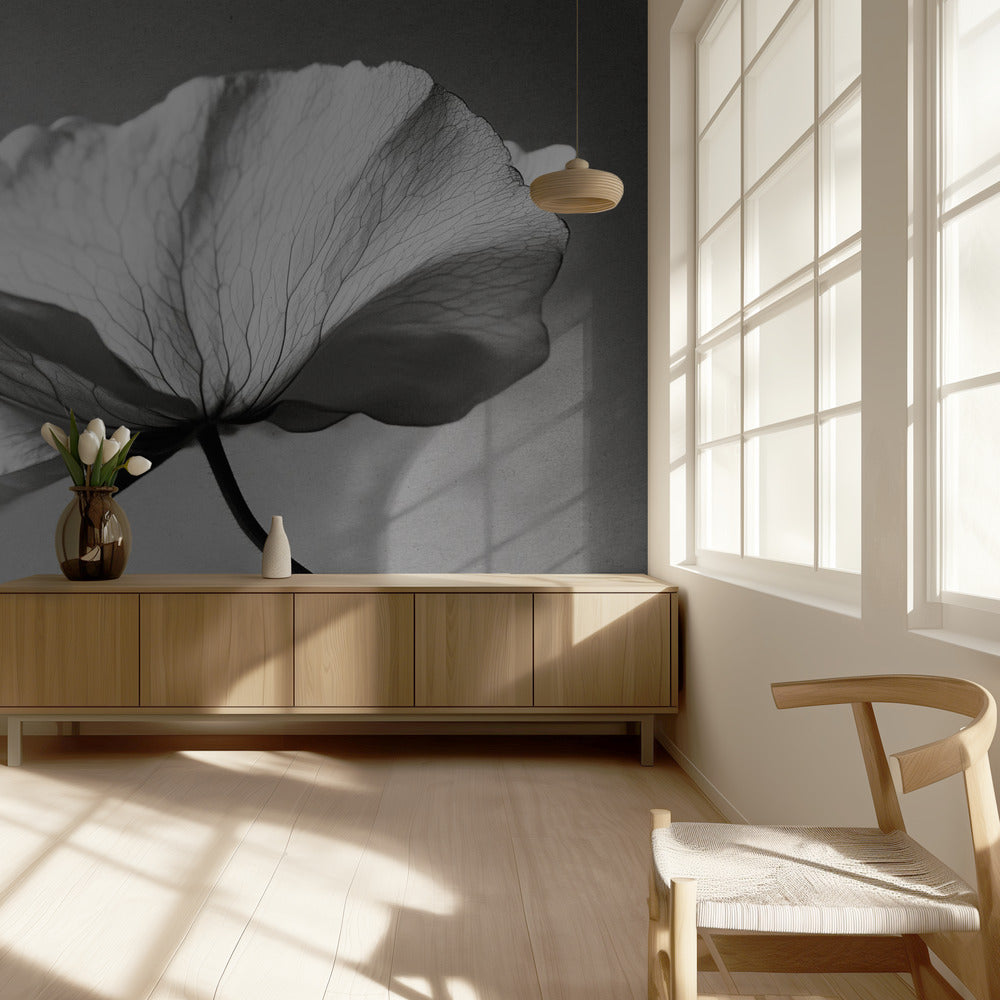 Delicate Bloemblaadjesdans | Behang